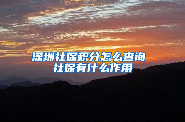 深圳社保积分怎么查询 社保有什么作用