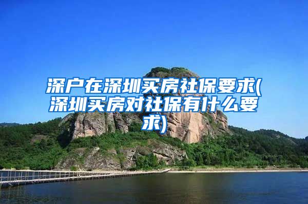 深户在深圳买房社保要求(深圳买房对社保有什么要求)