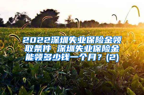 2022深圳失业保险金领取条件 深圳失业保险金能领多少钱一个月？(2)