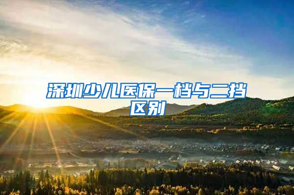 深圳少儿医保一档与二挡区别