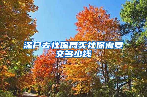 深户去社保局买社保需要交多少钱