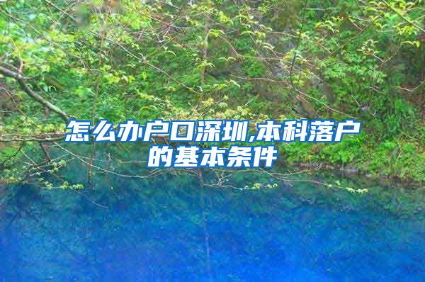 怎么办户口深圳,本科落户的基本条件