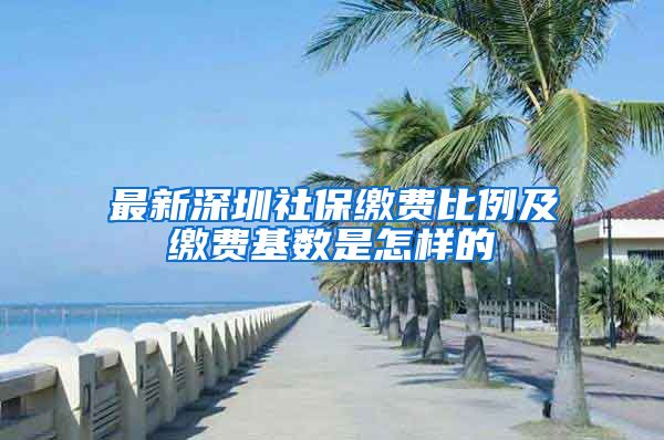 最新深圳社保缴费比例及缴费基数是怎样的