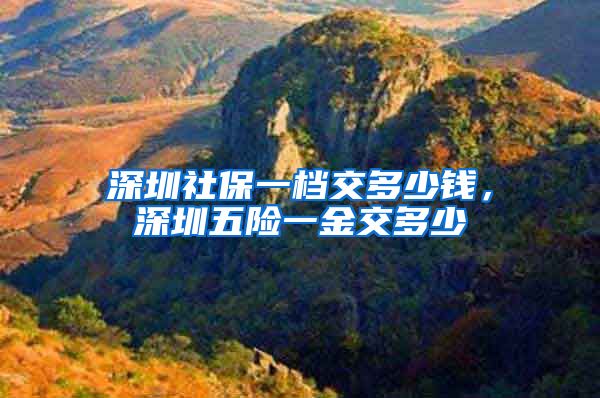 深圳社保一档交多少钱，深圳五险一金交多少