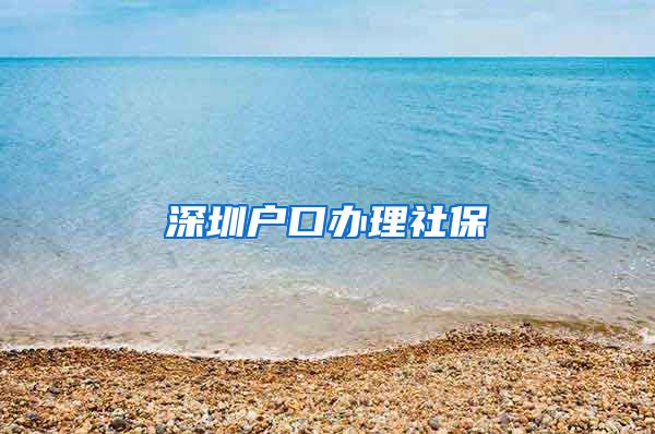 深圳户口办理社保