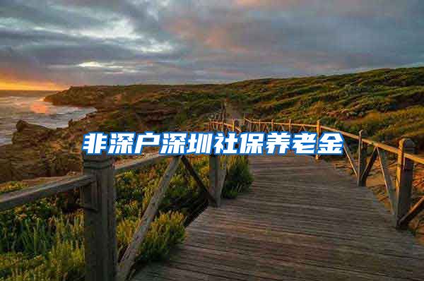 非深户深圳社保养老金