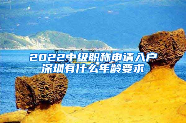 2022中级职称申请入户深圳有什么年龄要求