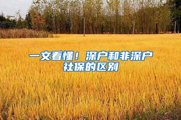 一文看懂！深户和非深户社保的区别