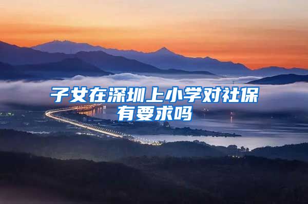 子女在深圳上小学对社保有要求吗