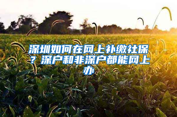 深圳如何在网上补缴社保？深户和非深户都能网上办