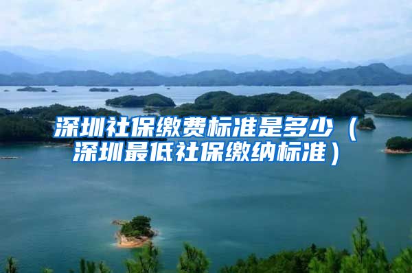 深圳社保缴费标准是多少（深圳最低社保缴纳标准）