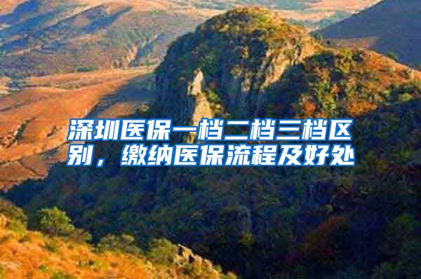 深圳医保一档二档三档区别，缴纳医保流程及好处