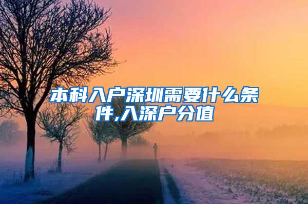 本科入户深圳需要什么条件,入深户分值