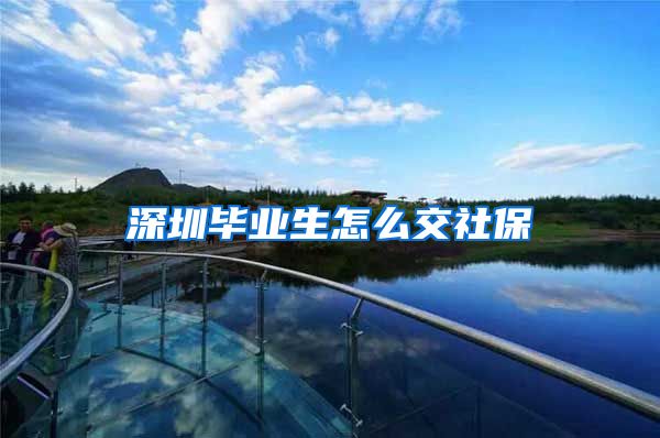 深圳毕业生怎么交社保