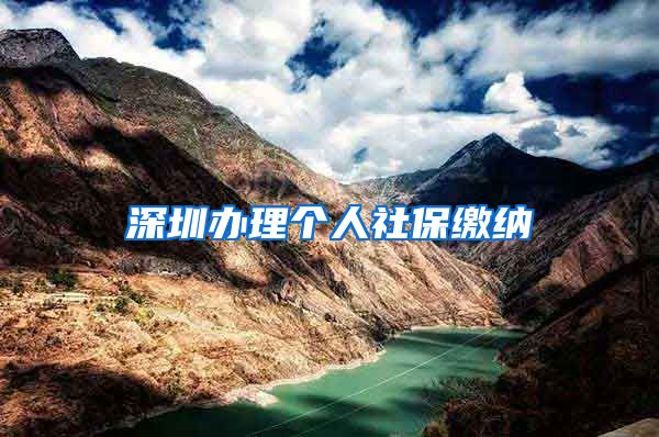 深圳办理个人社保缴纳
