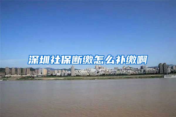 深圳社保断缴怎么补缴啊