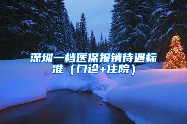 深圳一档医保报销待遇标准（门诊+住院）