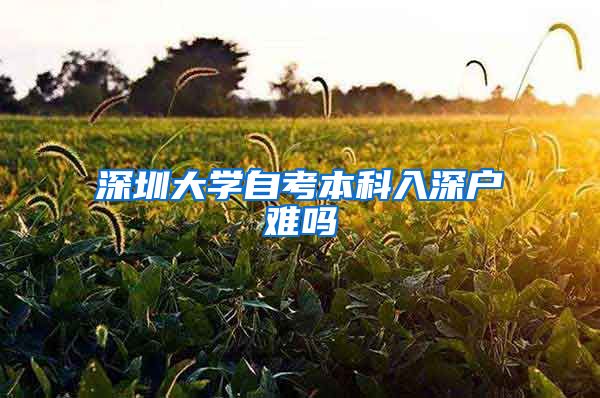 深圳大学自考本科入深户难吗