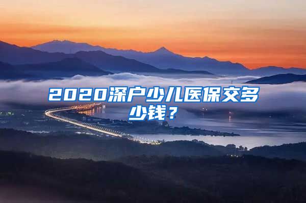 2020深户少儿医保交多少钱？