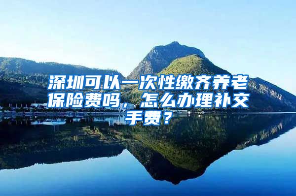 深圳可以一次性缴齐养老保险费吗，怎么办理补交手费？