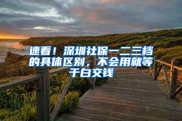 速看！深圳社保一二三档的具体区别，不会用就等于白交钱