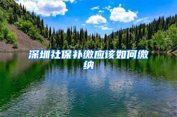 深圳社保补缴应该如何缴纳