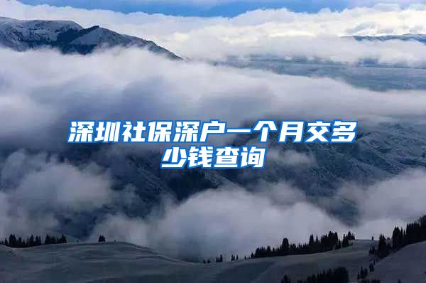 深圳社保深户一个月交多少钱查询