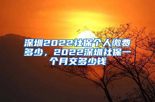 深圳2022社保个人缴费多少，2022深圳社保一个月交多少钱