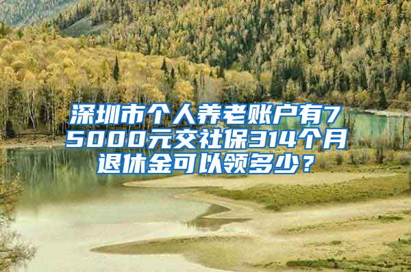 深圳市个人养老账户有75000元交社保314个月退休金可以领多少？