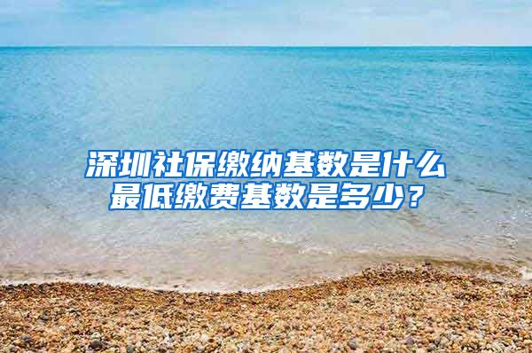 深圳社保缴纳基数是什么最低缴费基数是多少？