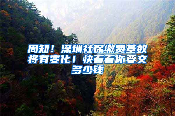 周知！深圳社保缴费基数将有变化！快看看你要交多少钱