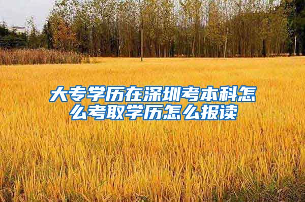 大专学历在深圳考本科怎么考取学历怎么报读