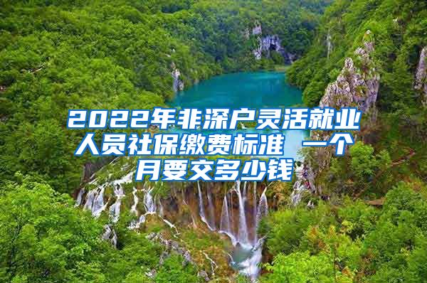 2022年非深户灵活就业人员社保缴费标准 一个月要交多少钱