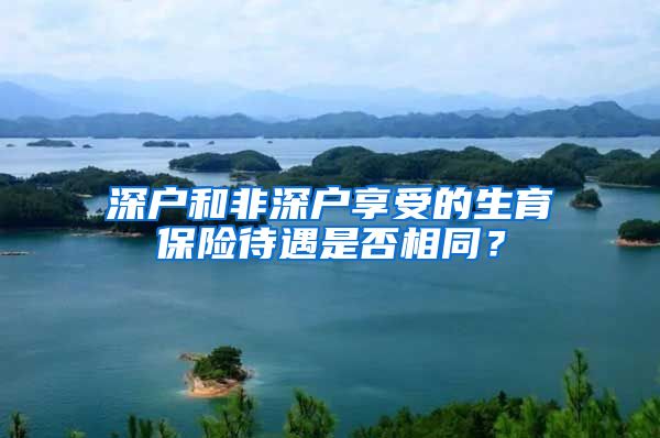 深户和非深户享受的生育保险待遇是否相同？