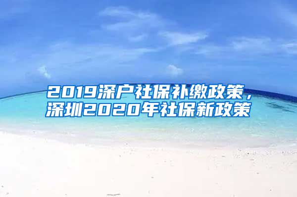 2019深户社保补缴政策，深圳2020年社保新政策