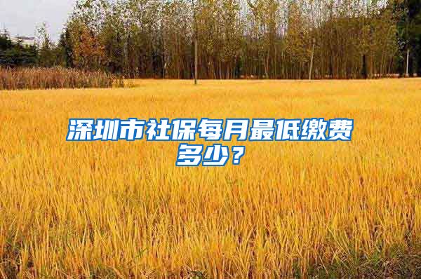 深圳市社保每月最低缴费多少？