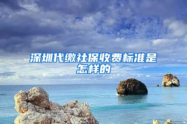 深圳代缴社保收费标准是怎样的