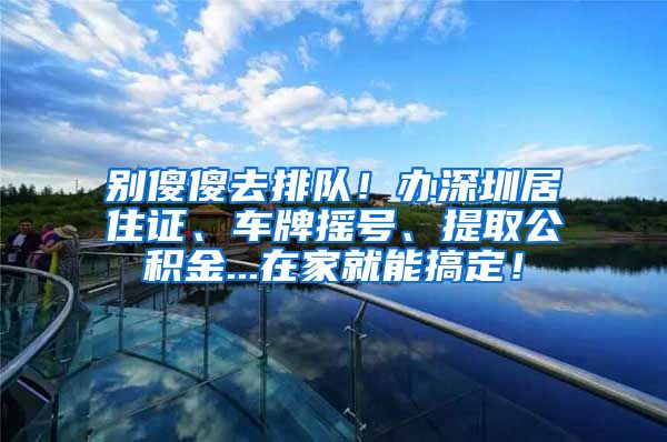 别傻傻去排队！办深圳居住证、车牌摇号、提取公积金...在家就能搞定！