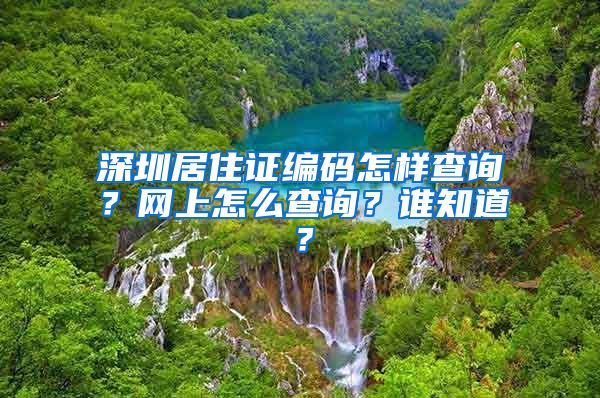 深圳居住证编码怎样查询？网上怎么查询？谁知道？