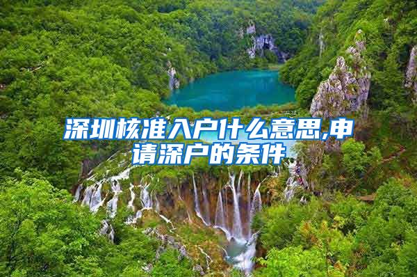 深圳核准入户什么意思,申请深户的条件