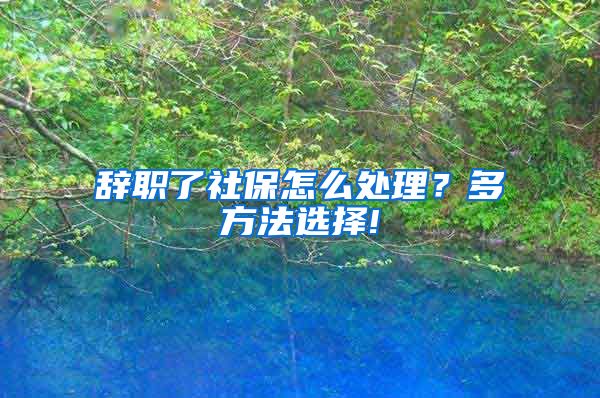 辞职了社保怎么处理？多方法选择!