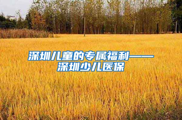 深圳儿童的专属福利——深圳少儿医保