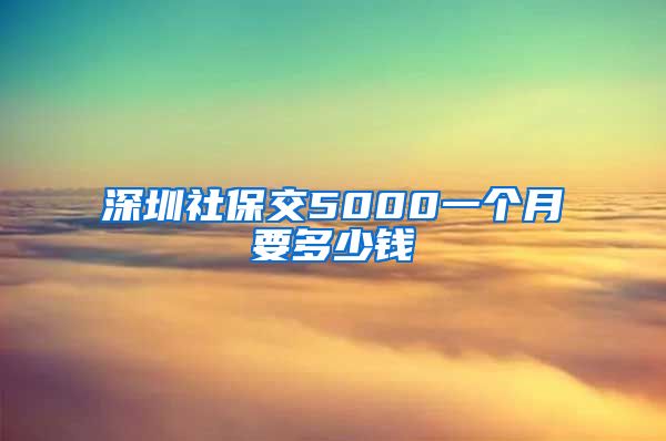 深圳社保交5000一个月要多少钱