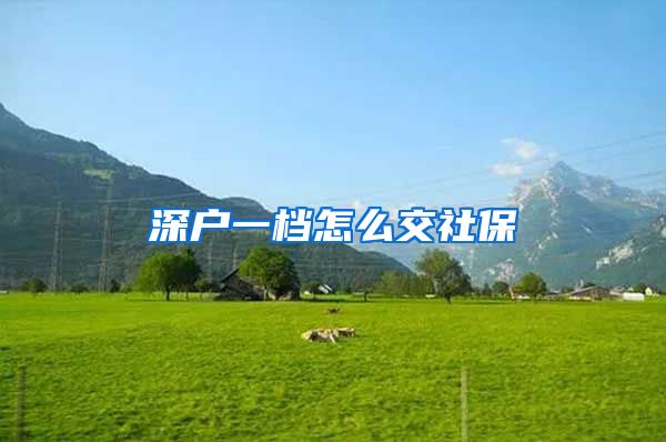 深户一档怎么交社保