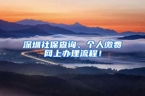 深圳社保查询、个人缴费网上办理流程！