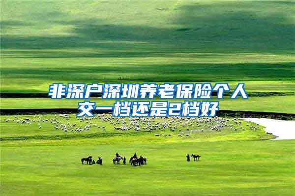 非深户深圳养老保险个人交一档还是2档好