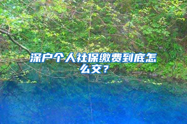 深户个人社保缴费到底怎么交？