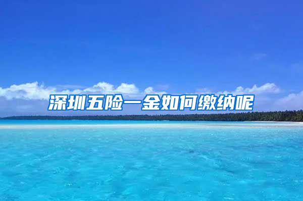 深圳五险一金如何缴纳呢