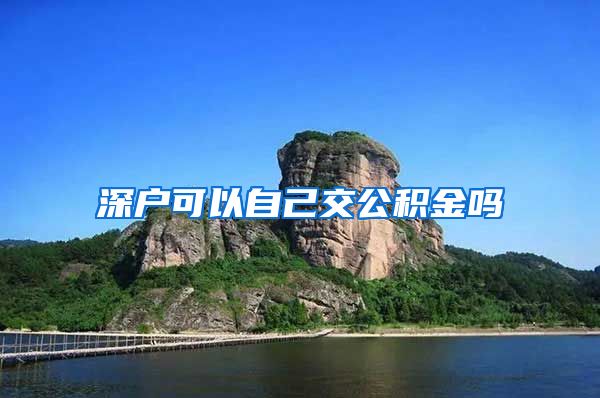 深户可以自己交公积金吗