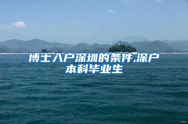 博士入户深圳的条件,深户本科毕业生
